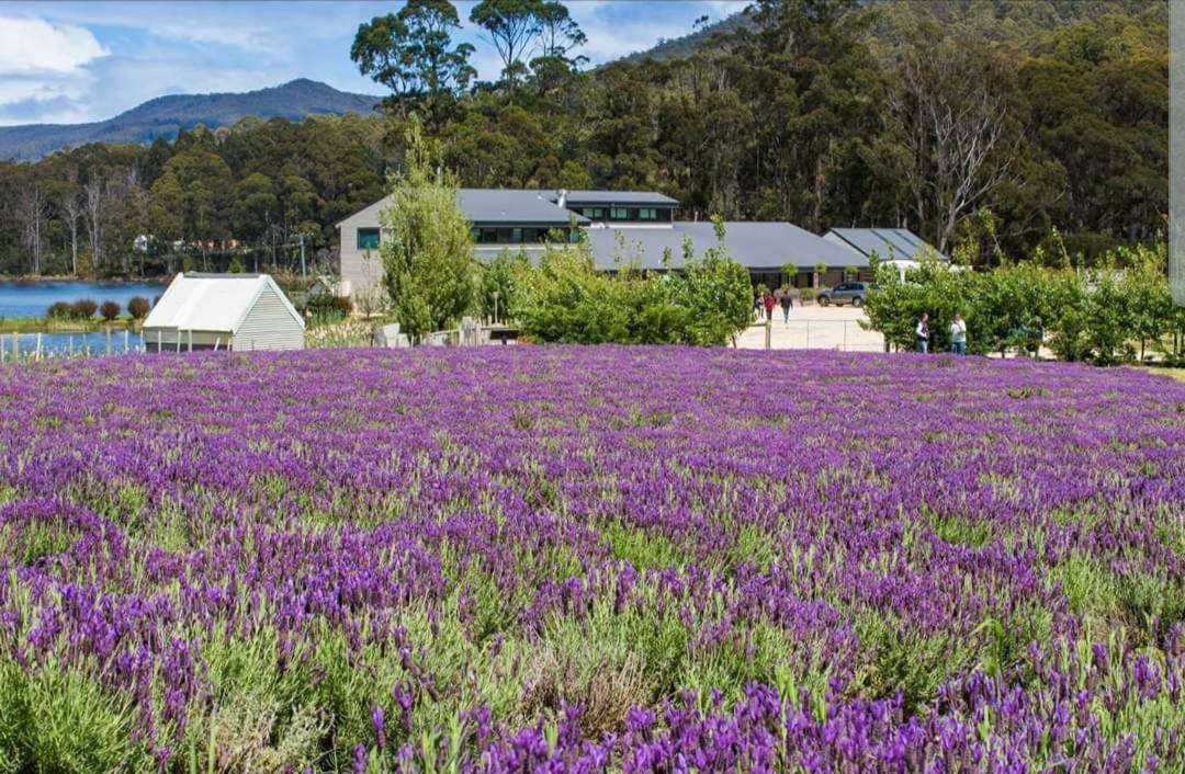 Ruby'S Cottage Farm Stay Port Arthur Eksteriør billede