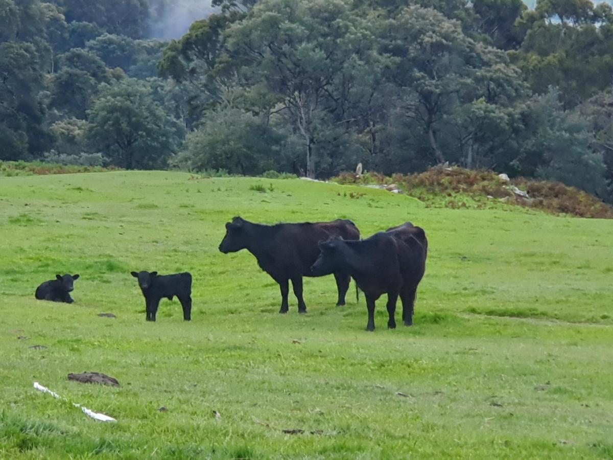Ruby'S Cottage Farm Stay Port Arthur Eksteriør billede
