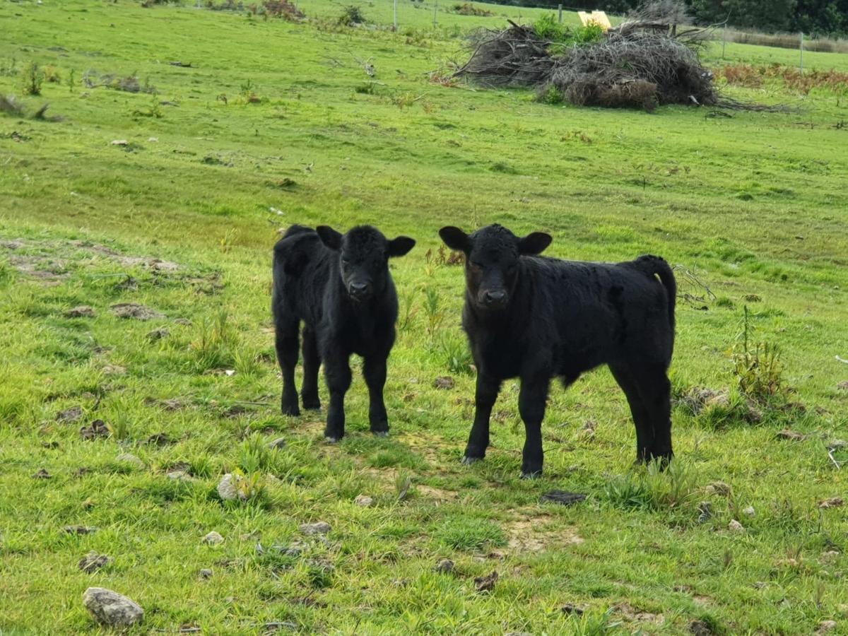 Ruby'S Cottage Farm Stay Port Arthur Eksteriør billede