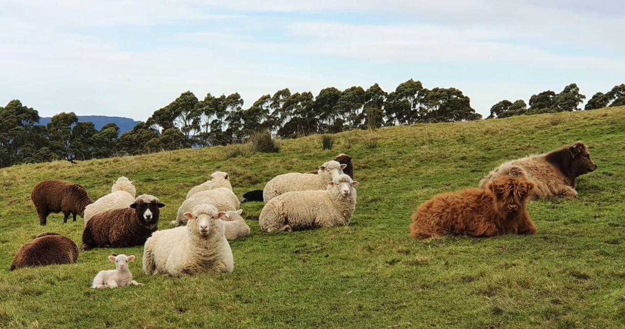 Ruby'S Cottage Farm Stay Port Arthur Eksteriør billede