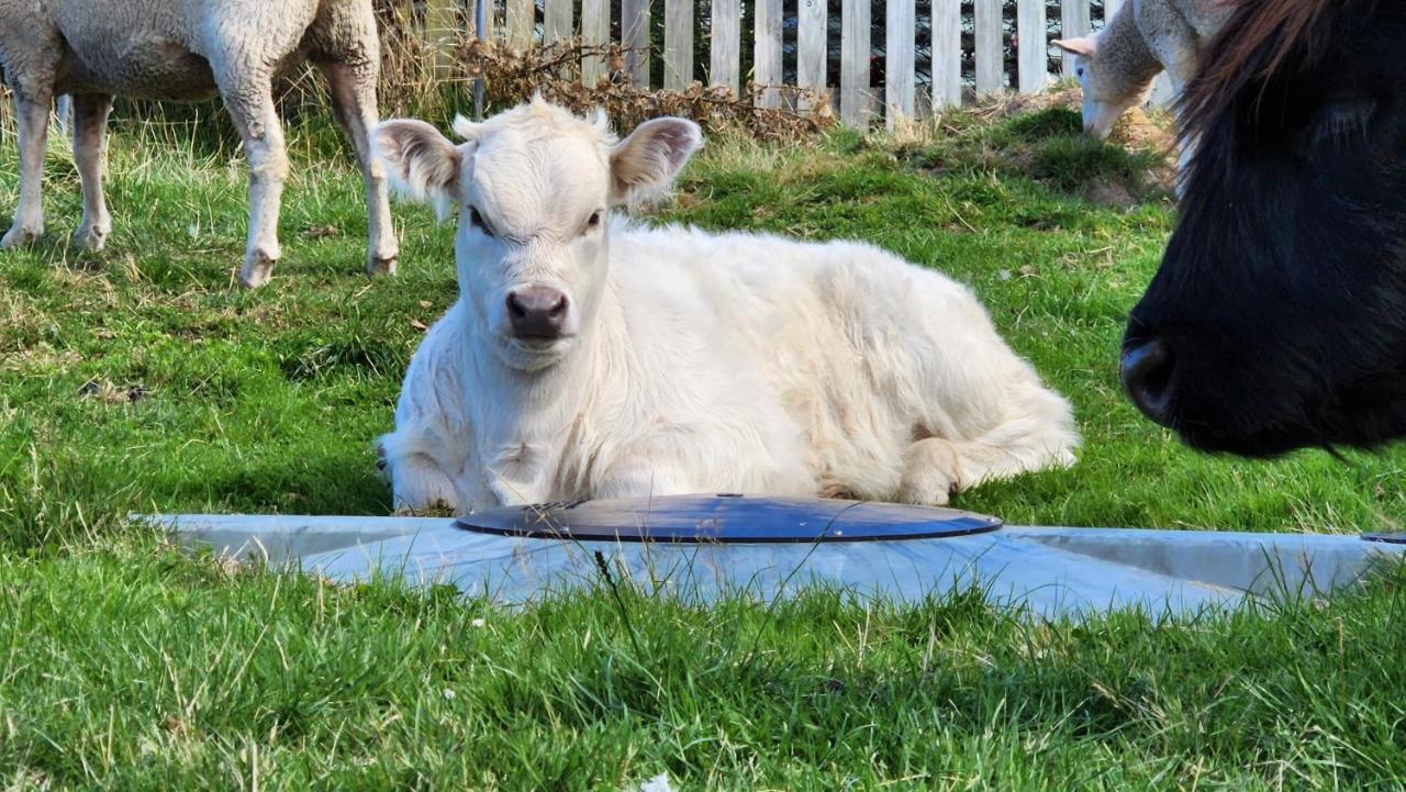 Ruby'S Cottage Farm Stay Port Arthur Eksteriør billede