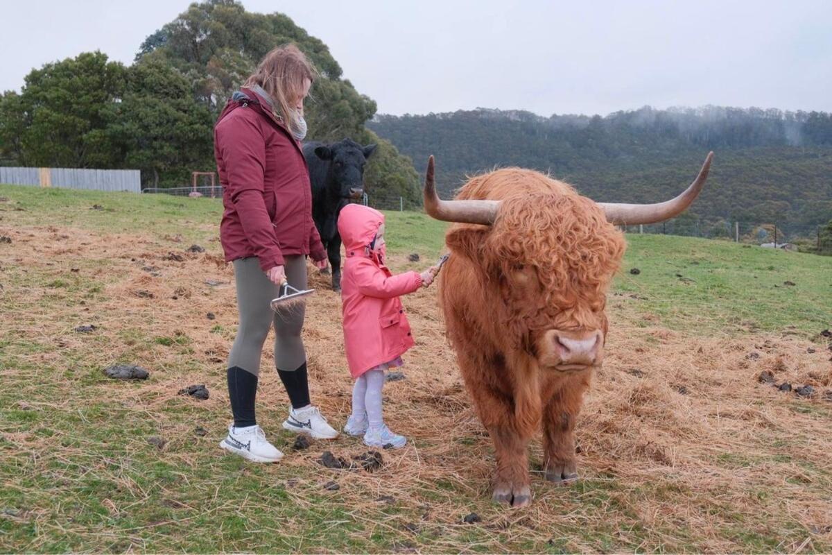 Ruby'S Cottage Farm Stay Port Arthur Eksteriør billede